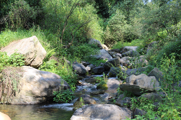 uttarakshi Track